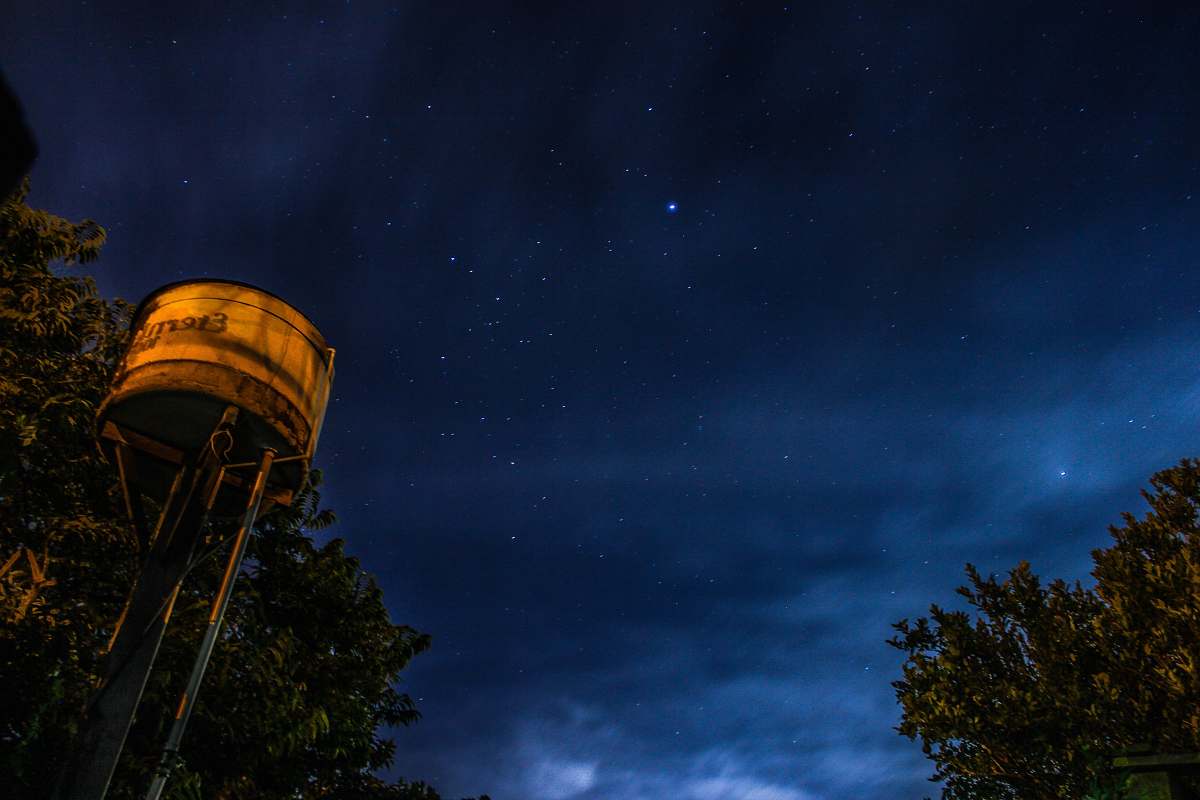 water tower worm's-eye view photography of white steel tank beside green tree under starry sky tree